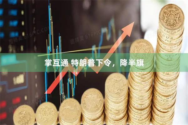 掌互通 特朗普下令，降半旗