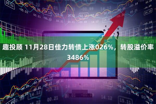趣投顾 11月28日佳力转债上涨026%,转股溢价率3486%